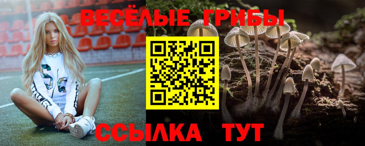 Краснознаменск  Галлюциногенные грибы Psilocybe  Вход с VPN 